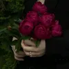didania_16