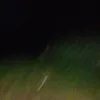roweltoribio2