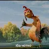 bokraz0
