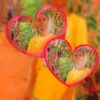 lovday001
