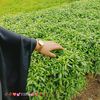tisha.payel.0