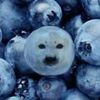 w4tt3rmel0n