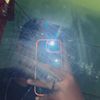 black_wte