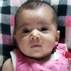 adnanalhleel