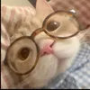 leoo_is.here4