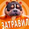 vanya_travit123