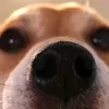 user8bzb5ltod5