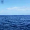 costa.vemsson