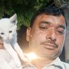 fazi05480