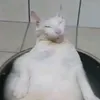propavshiy_chillbro