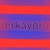 berkaypr0