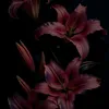 flover_n