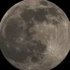 lee_yuumi