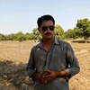 ali.imtiaz.chang