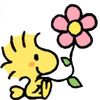 user18923912