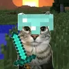 The Wise Cat