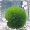 moss_boll