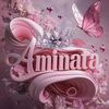 aminata.conde898
