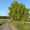 binteabdullah05