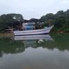 hizar626