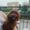 cjnnamonfxlls