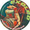 reptilcrash