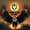 fedaillergrubu