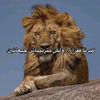 nori_lmeryoul