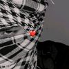 mohamedraccoon2