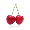 rioucherry