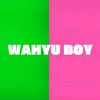 wahyuboy7596