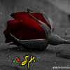 nahibbasheer