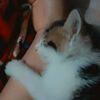memberbangtanke8