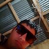 yossy7048