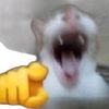 jsyygdbduen
