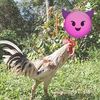 arung5585