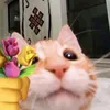 ctuoiw_508