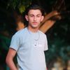 almzeon013
