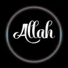 user399500578