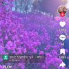 user8333287077118