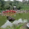 vantannguyen555