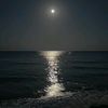 lialn_01