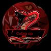 silent.cobra.yt
