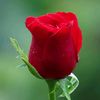 arman160969