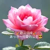 user4490453794047
