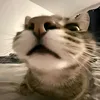 hanzo_yt4