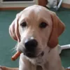maggie456789