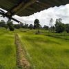 weepasilangam703