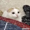 ditbothangtiklon