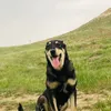 sherebadini7